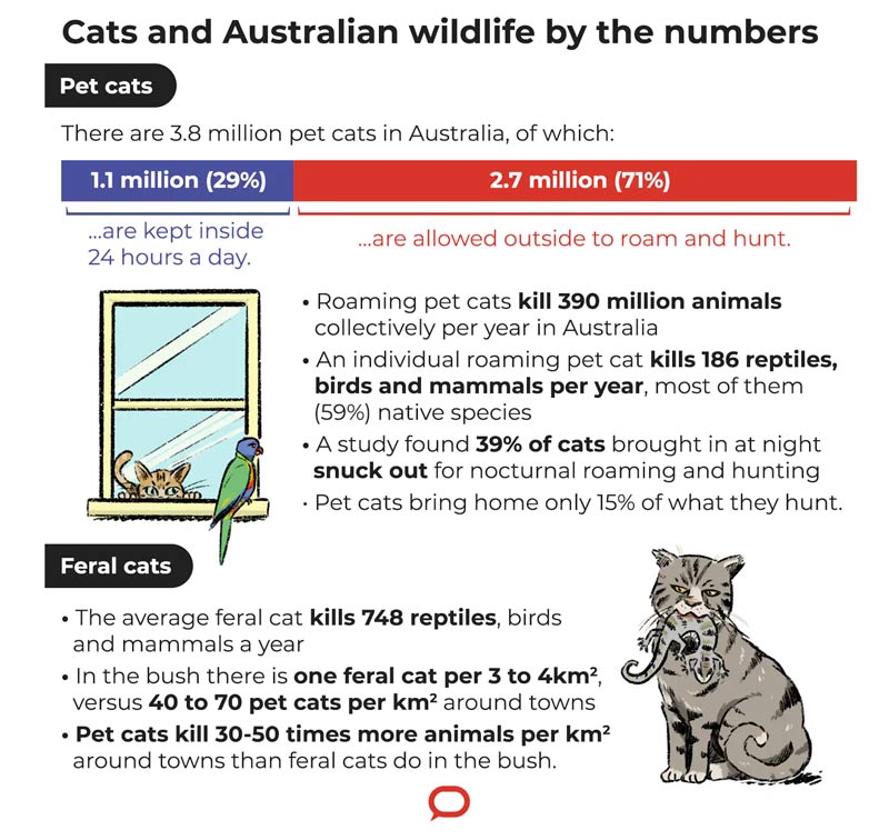 aust cats