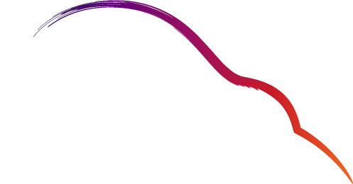 SaveTheKiwi Primary Logo RGB 2