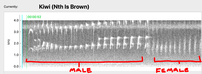 male female log